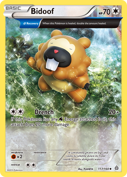 Bidoof - 117/160