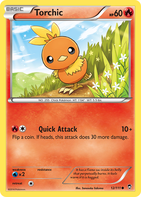 Torchic - 12/111