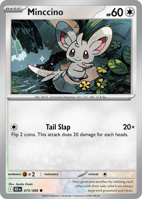 Minccino - 075/086