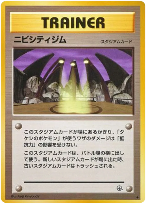 Pewter City Gym - (Leaders' Stadium)