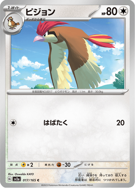 Pidgeotto (ピジョン) - 017/165