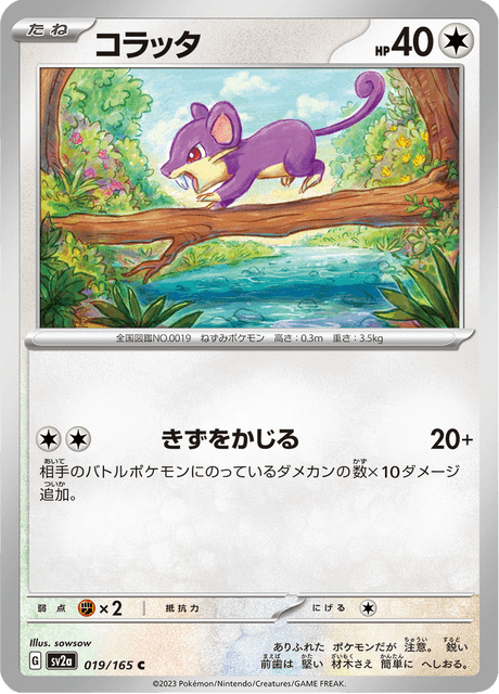 Rattata (コラッタ) - 019/165
