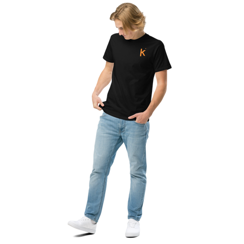 Kollecter Studio Original - Need Money For Pokemon