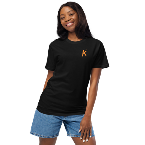 Kollecter Studio Original - Lance Gyarados