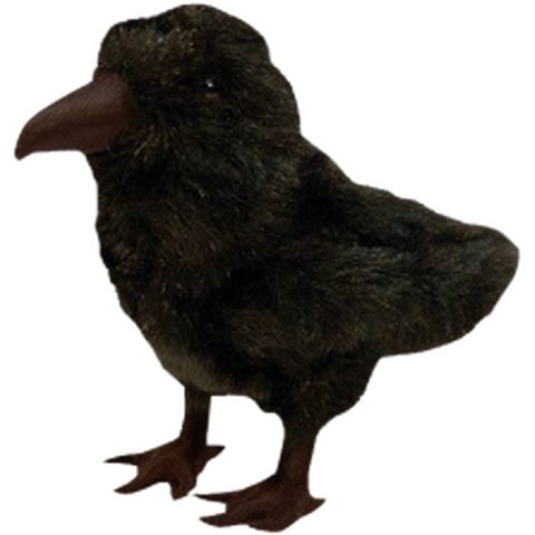 Game of Thrones - 3 Eyed Raven Plush